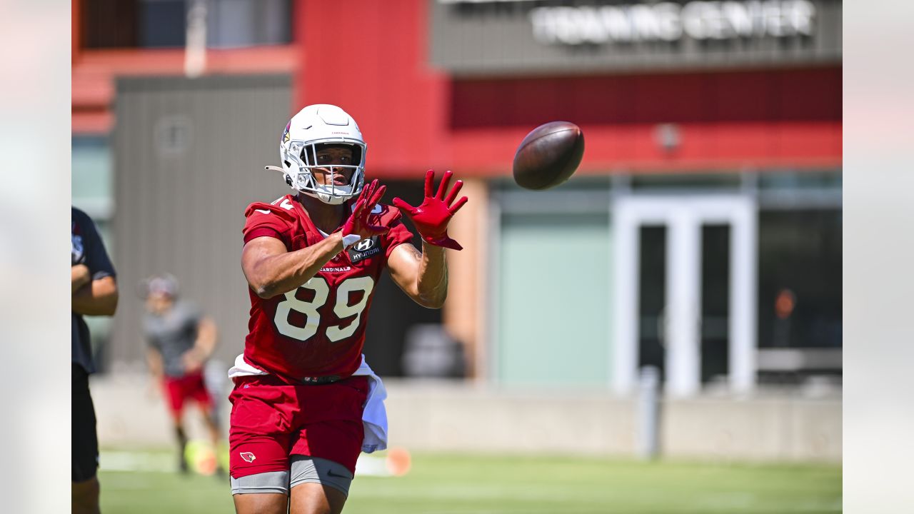 Arizona Cardinals tight end Stephen Anderson (89) during the first