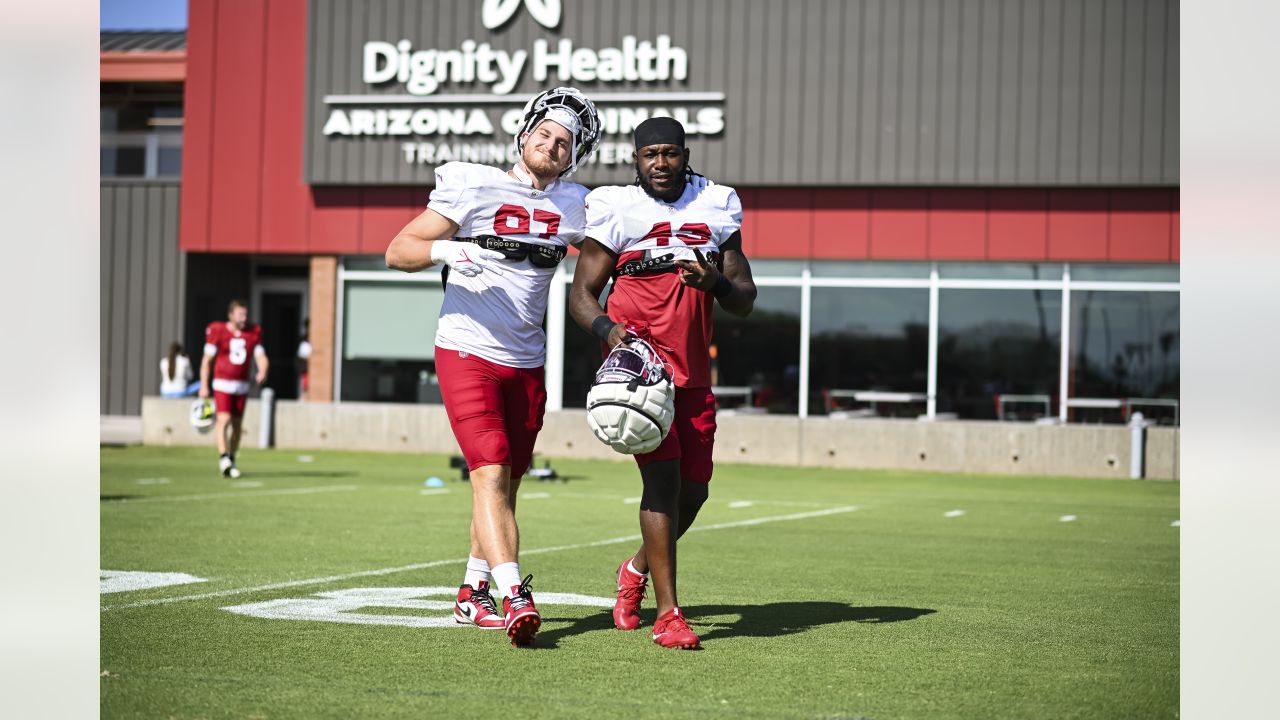 Arizona Cardinals' David Johnson (31) works out during an NFL football  organized team activity, Wednesday, June 5, 2019, in Tempe, Ariz. (AP  Photo/Matt York Stock Photo - Alamy