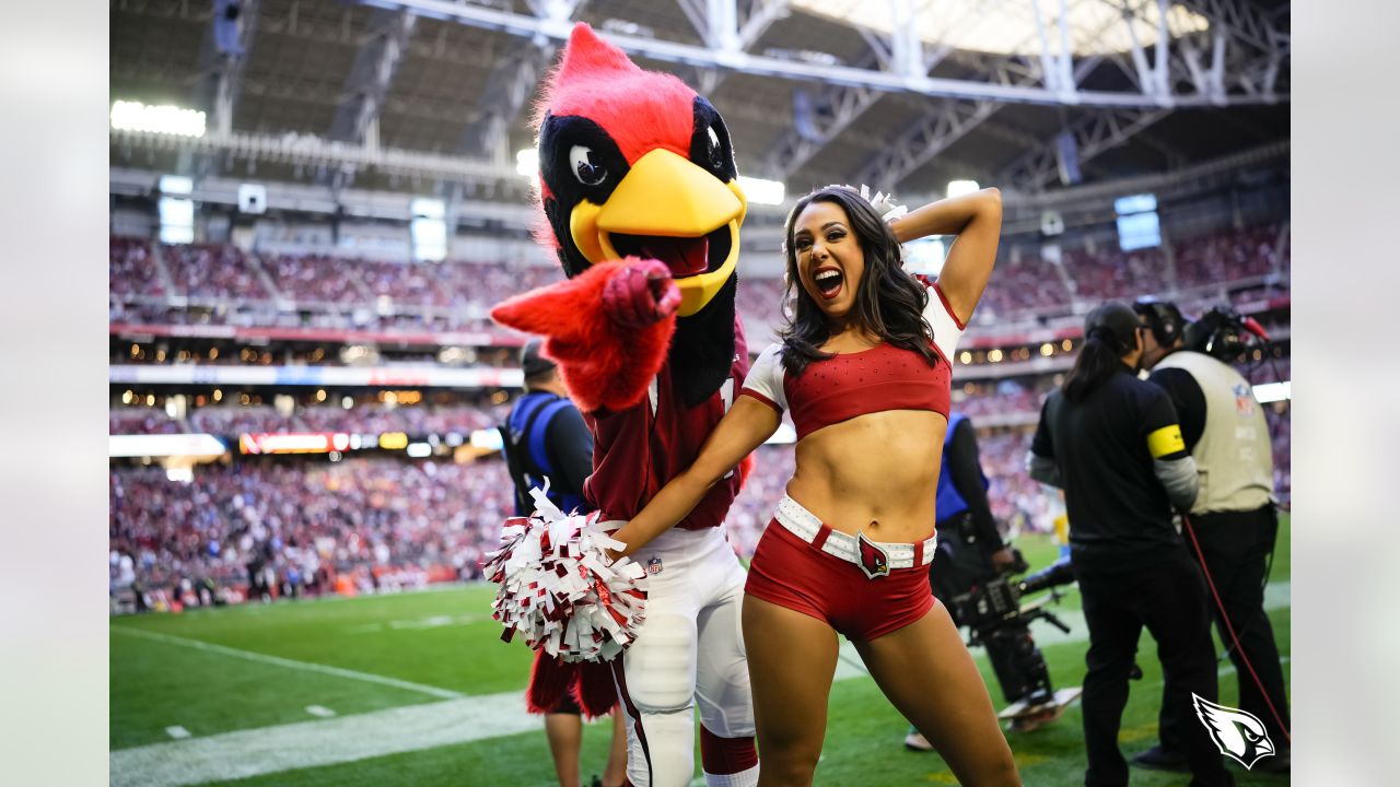 What is the Arizona Cardinals Mascot Big Red Salary?