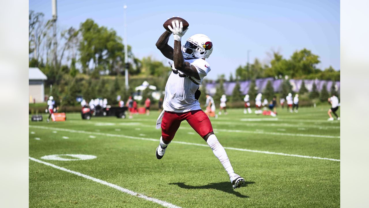 Minnesota Vikings cornerback Jaylin Williams (38) in action against the Arizona  Cardinals during the first half of an NFL preseason football game Saturday,  Aug. 26, 2023 in Minneapolis. (AP Photo/Stacy Bengs Stock