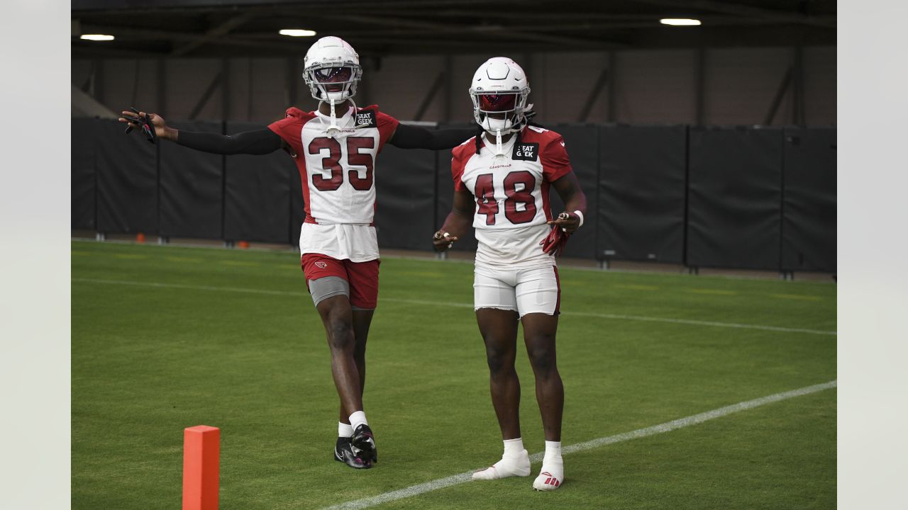 Arizona Cardinals' Maxx Williams runs drills during the teams' NFL football  training camp, Tuesday, July 30, 2019, in Glendale, Ariz. (AP Photo/Matt  York Stock Photo - Alamy