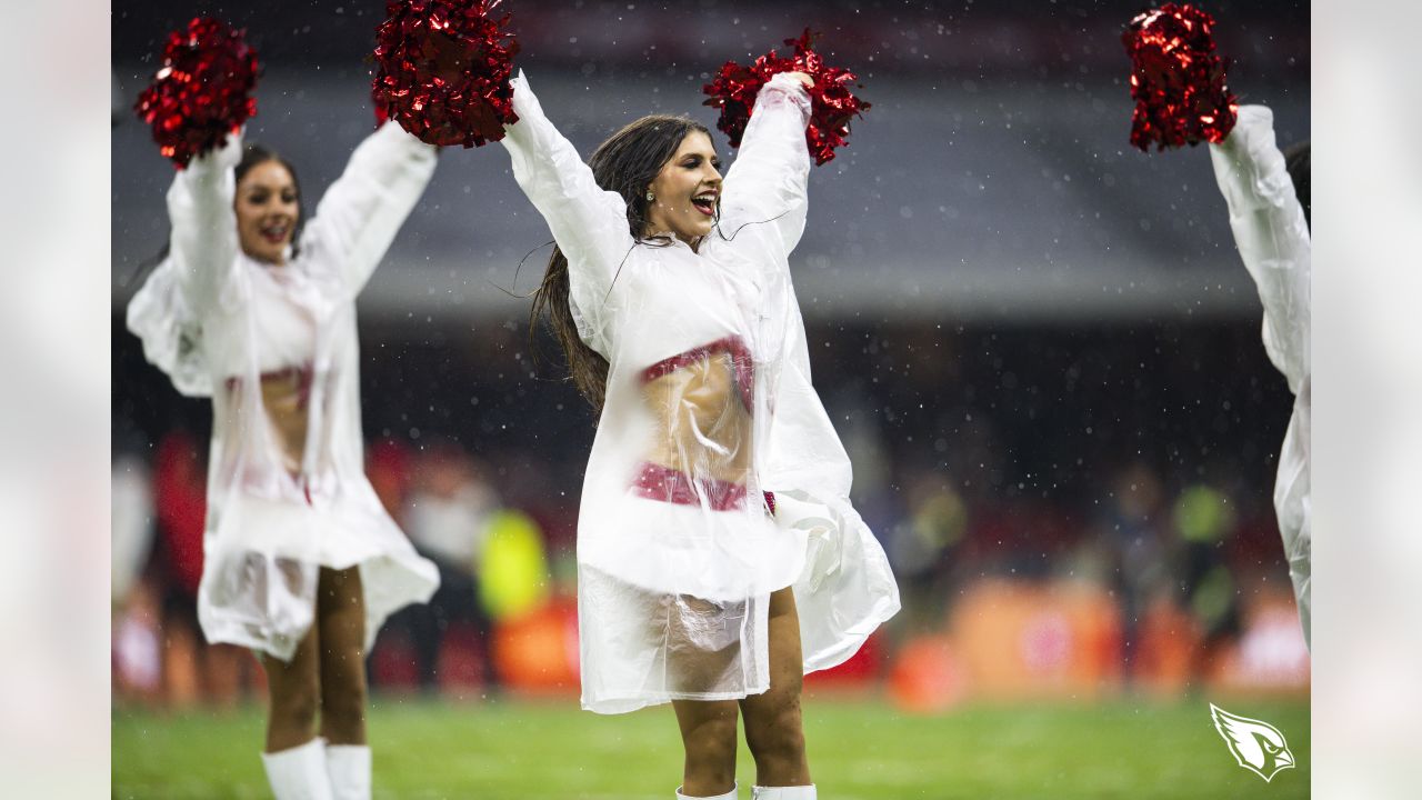 Merry christmas!  Nfl 49ers, 49ers cheerleaders, San francisco