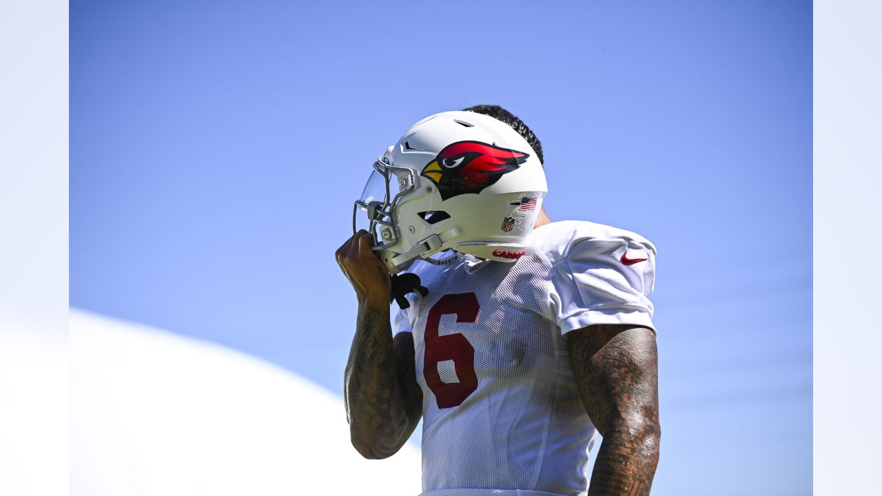 Arizona Cardinals' David Johnson (31) stretches during an NFL football  practice, Wednesday, May 29, 2019, in Tempe, Ariz. (AP Photo/Matt York  Stock Photo - Alamy