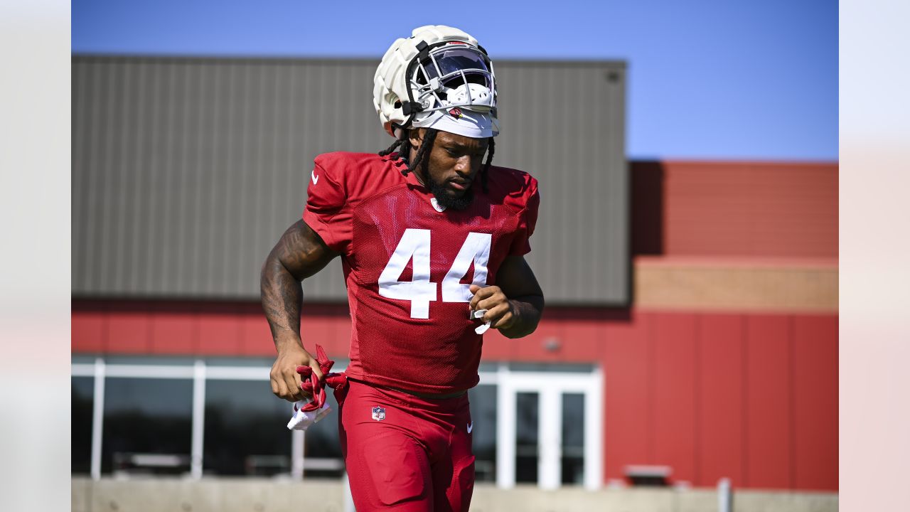 Marco Wilson, Cardinals Defense Readies For Niners' Scheme