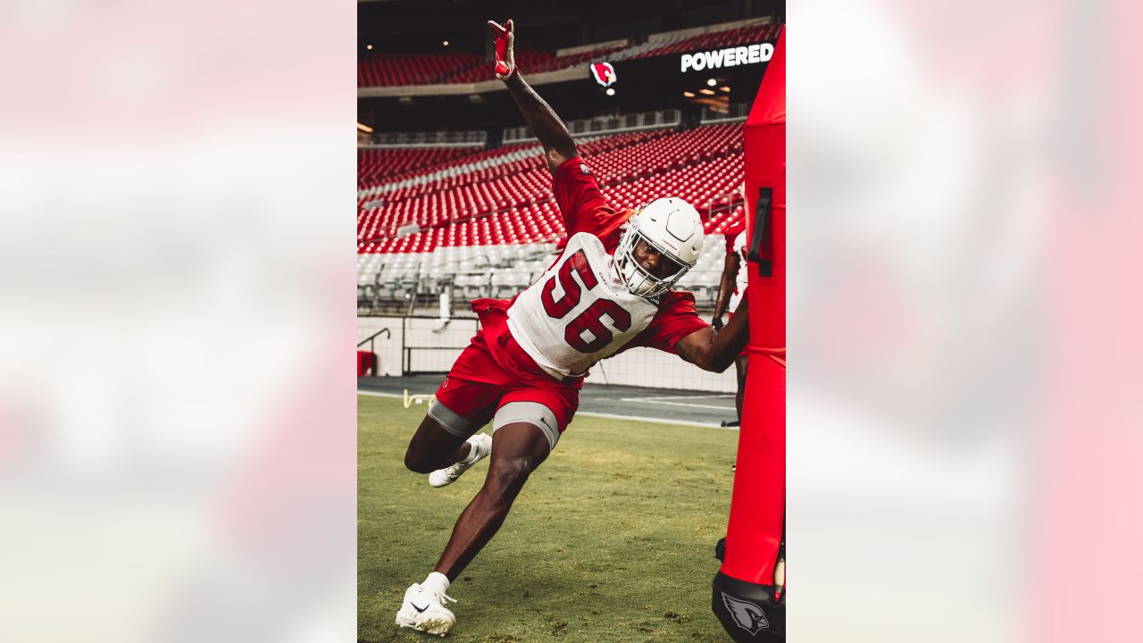 Cardinals celebrate TD over Seahawks embarrassment, Chris Banjo first TD 