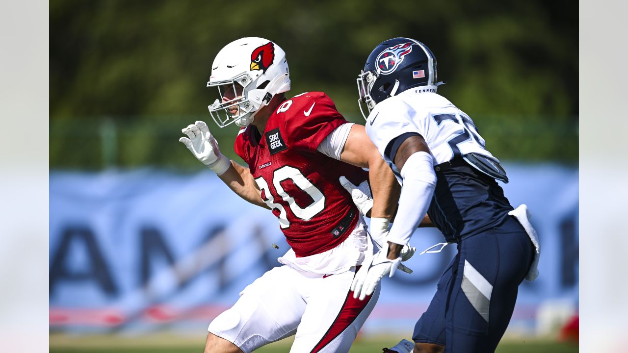 Tennessee Titans vs Arizona Cardinals: Game photos from Nashville