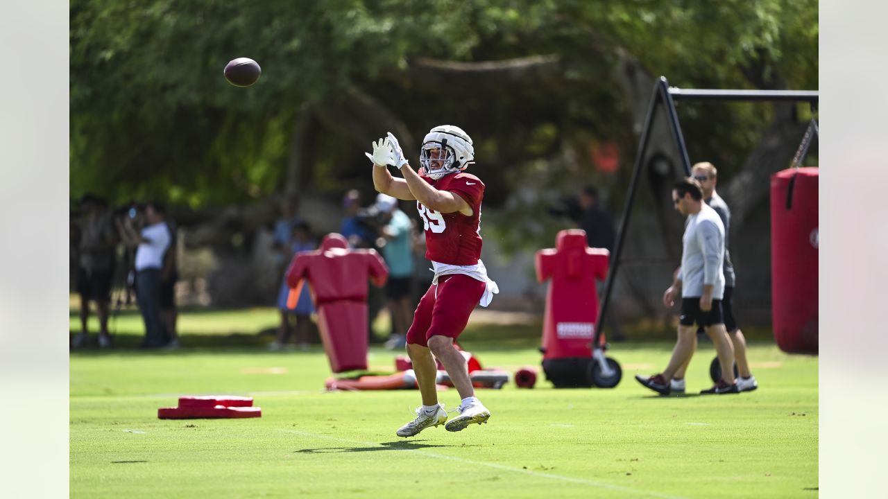 Leki Fotu Madden 24 Rating (Arizona Cardinals)