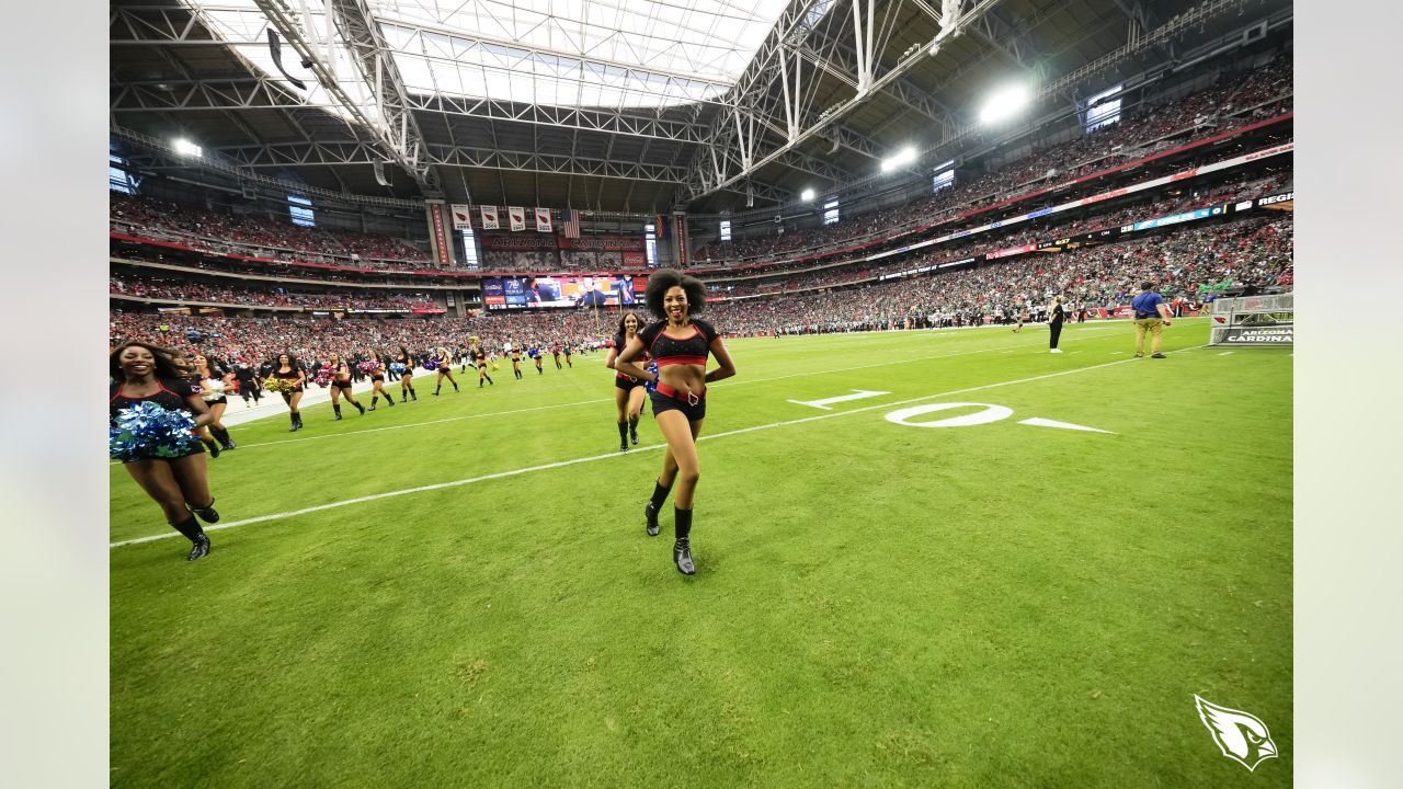 Section 141 at State Farm Stadium 