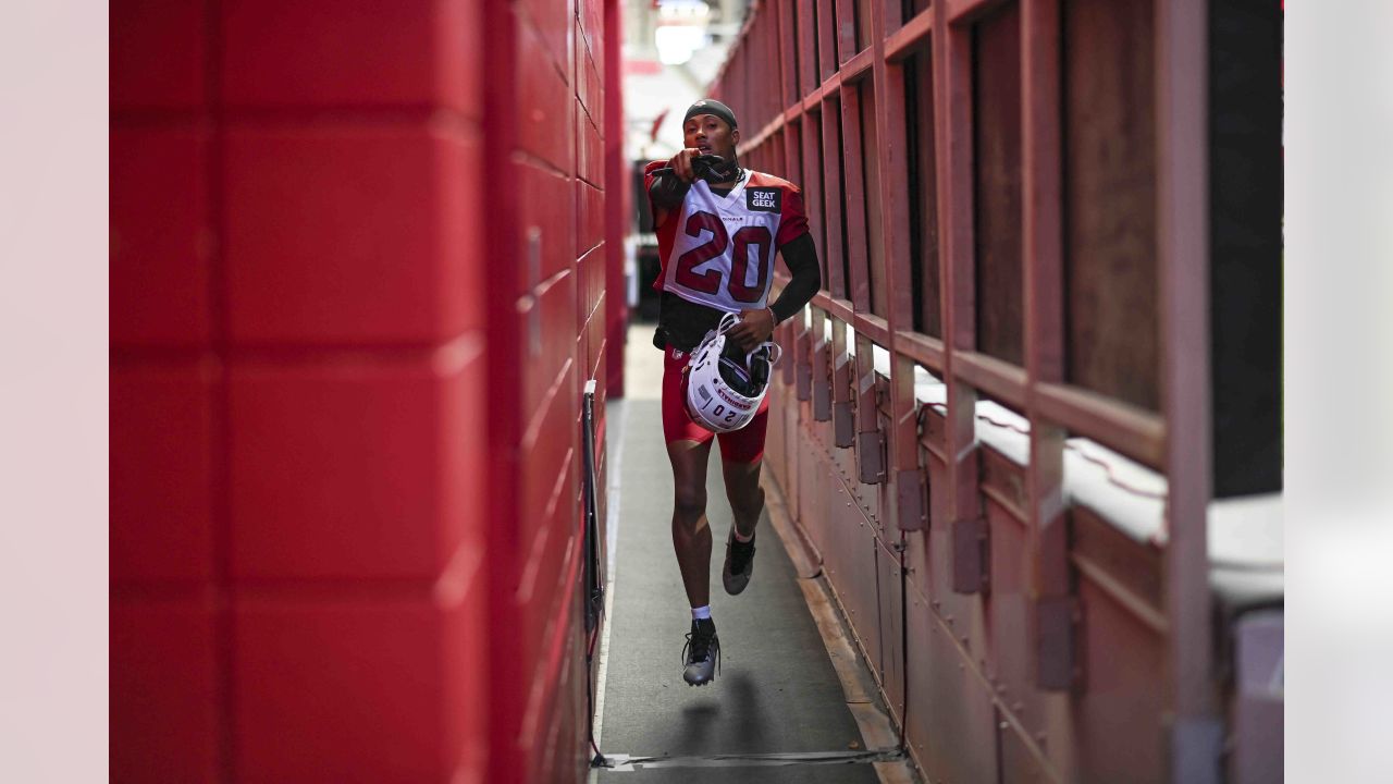 James Conner carving out role as goal-line back in Arizona - Cardiac Hill