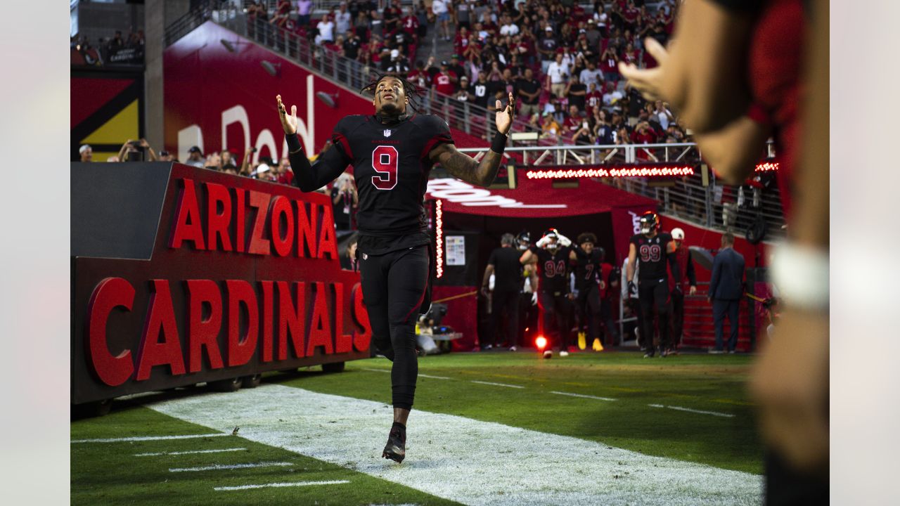 NFC West week 12 opening lines lean for the Arizona Cardinals to increase  lead in division - Revenge of the Birds