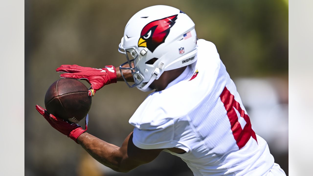 Marco Wilson, Cardinals Defense Readies For Niners' Scheme