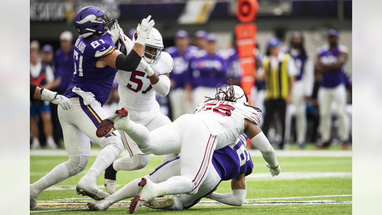 Davion Davis of the Arizona Cardinals competes against the Minnesota  News Photo - Getty Images