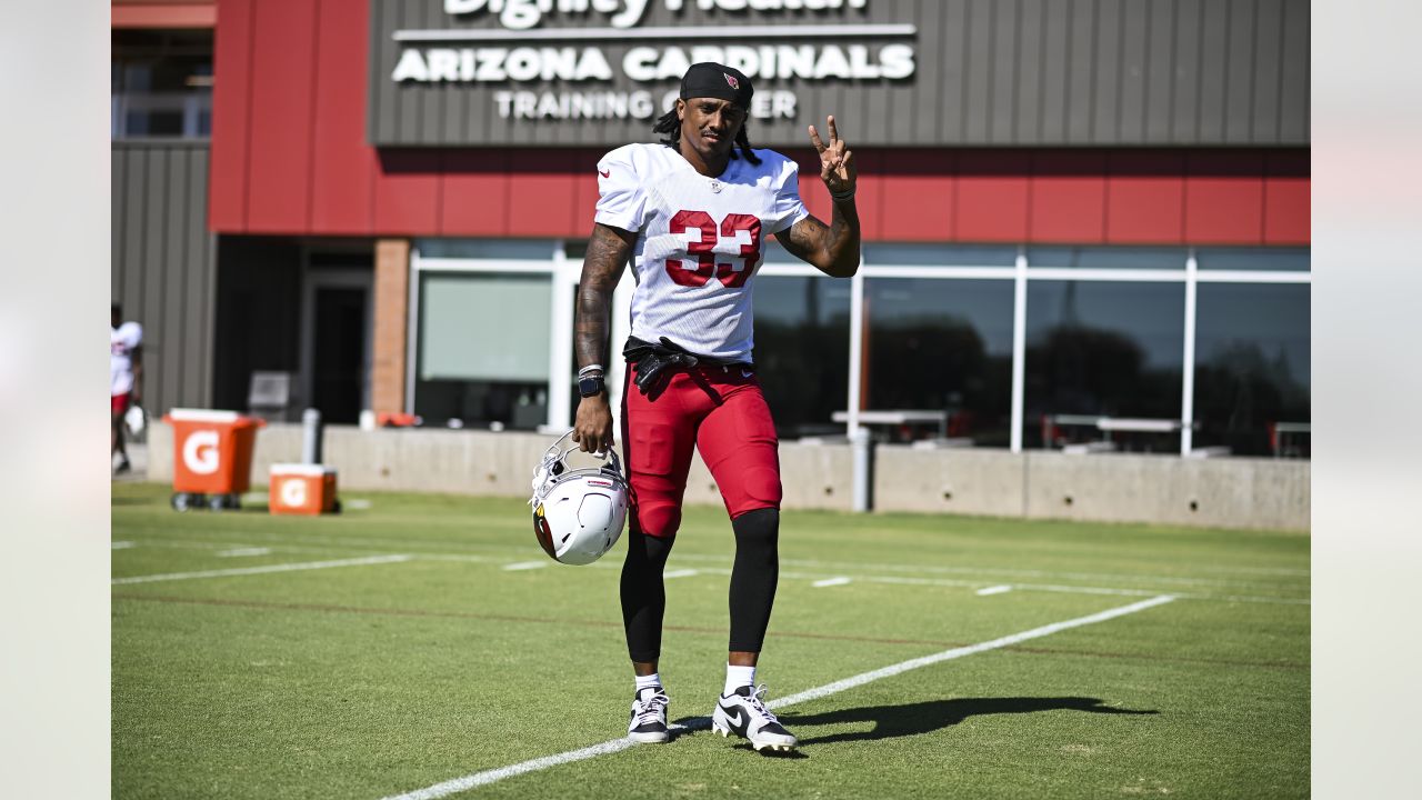 Cardinals Bring Back Antonio Hamilton, Add L.J. Collier