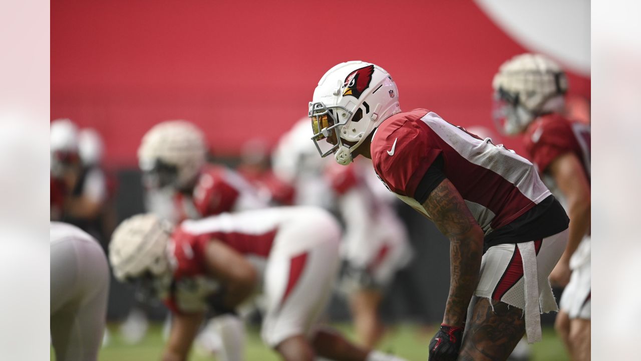 PHOTOS: Cardinals Training Camp - August 4