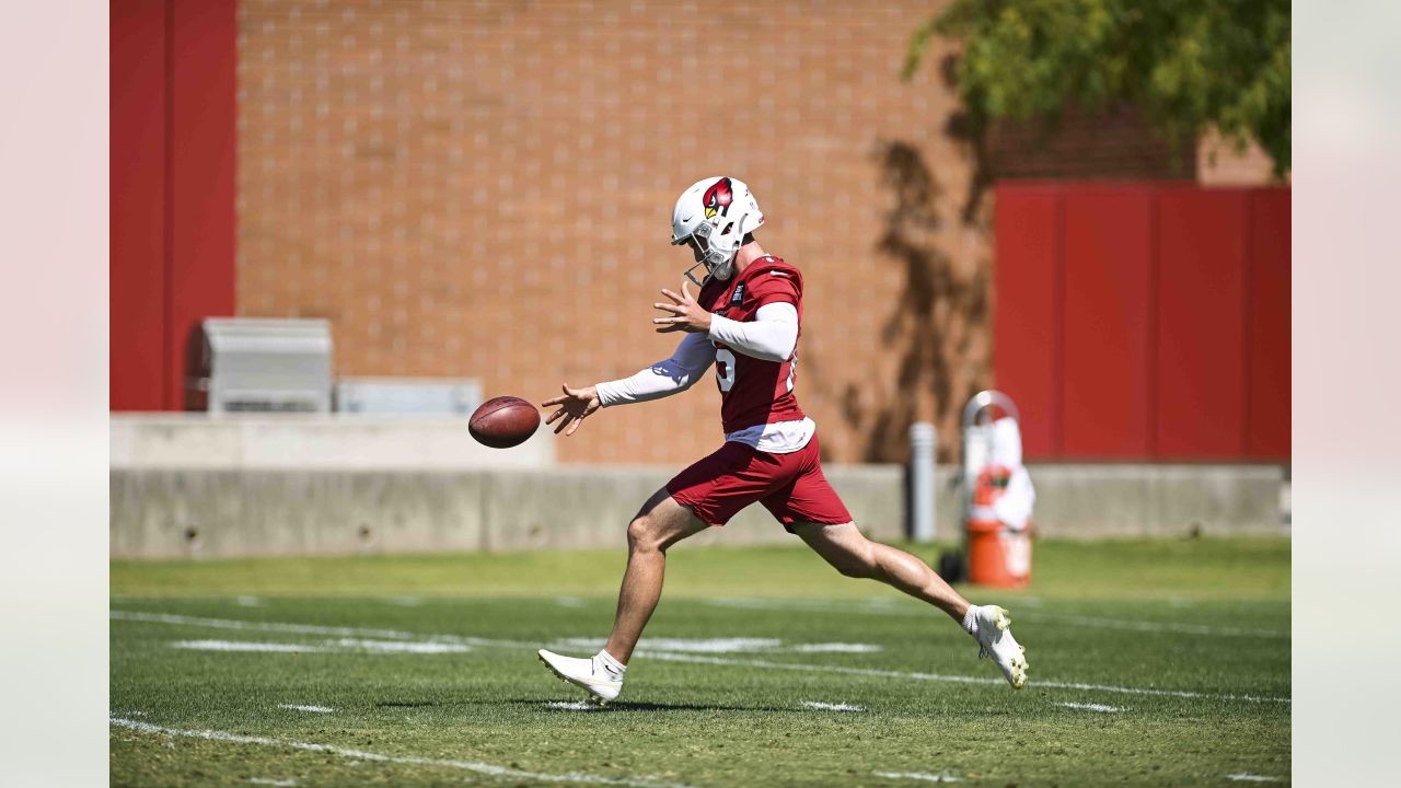 Arizona Cardinals punter Nolan Cooney stands out with his play in NFL  preseason