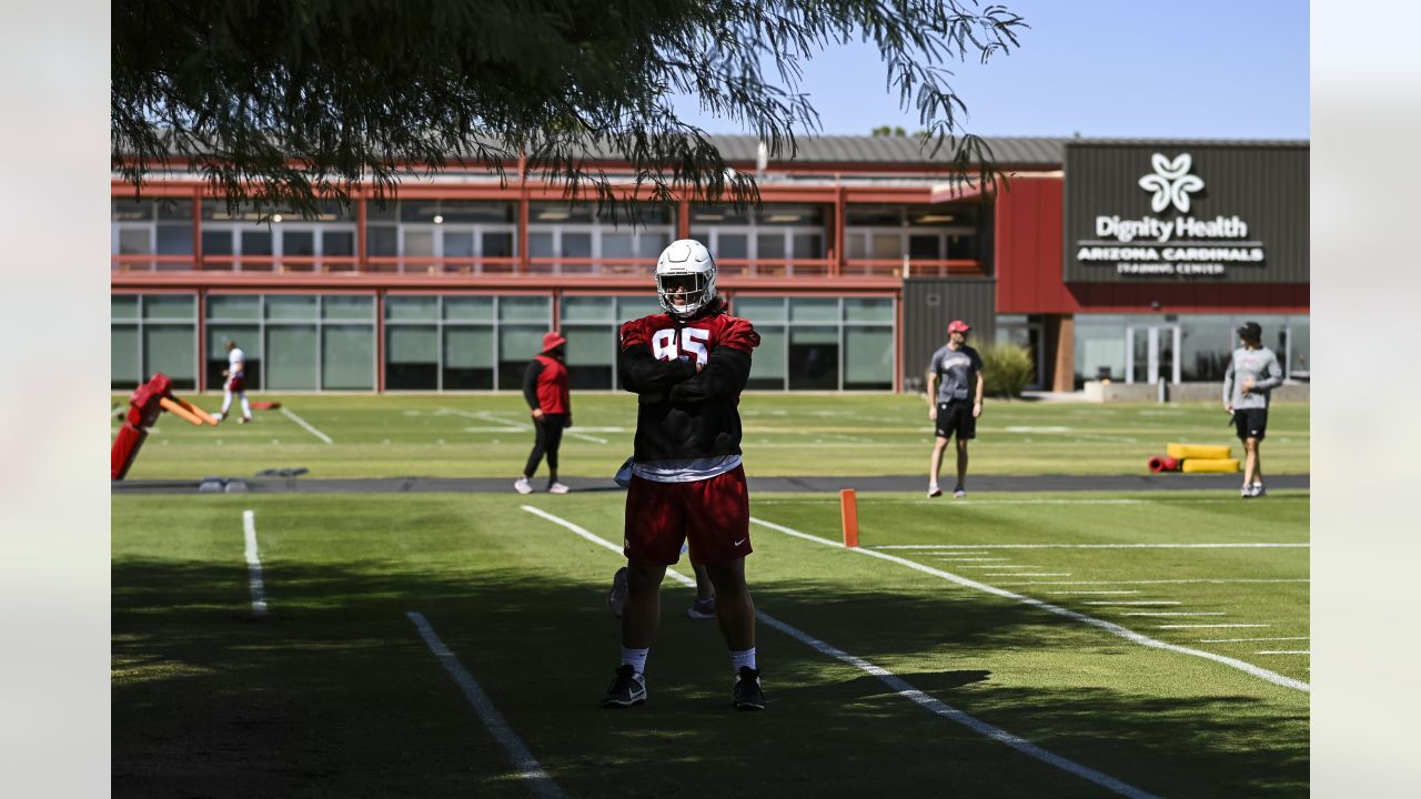 Arizona Cardinals defensive tackle Leki Fotu (95) looks up at a