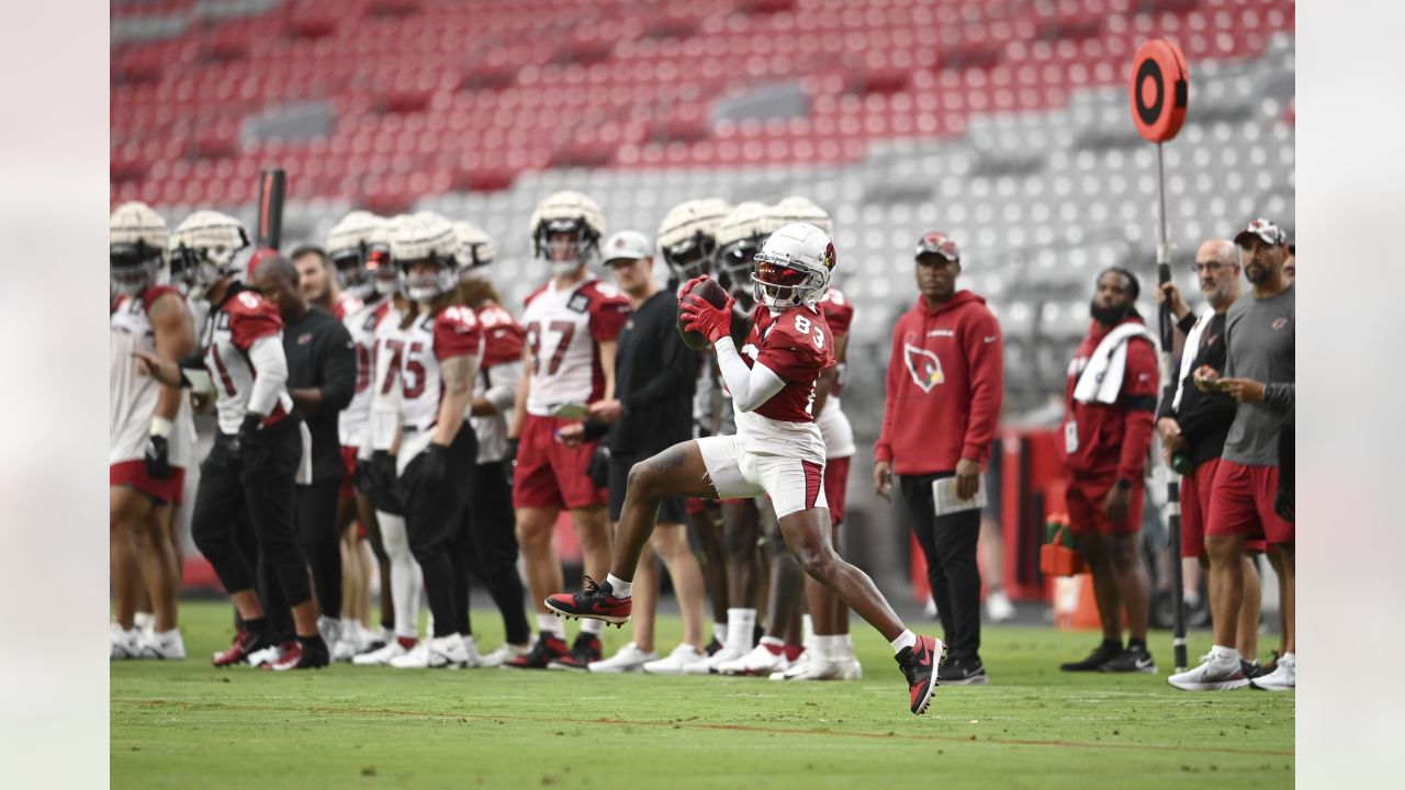 Talented group of running backs pushing each other in Cardinals camp