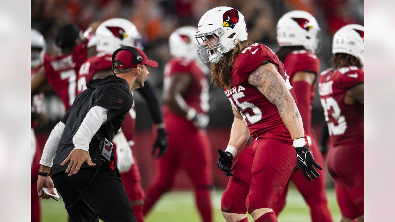 Arizona Cardinals linebacker Dennis Gardeck delivers masterful