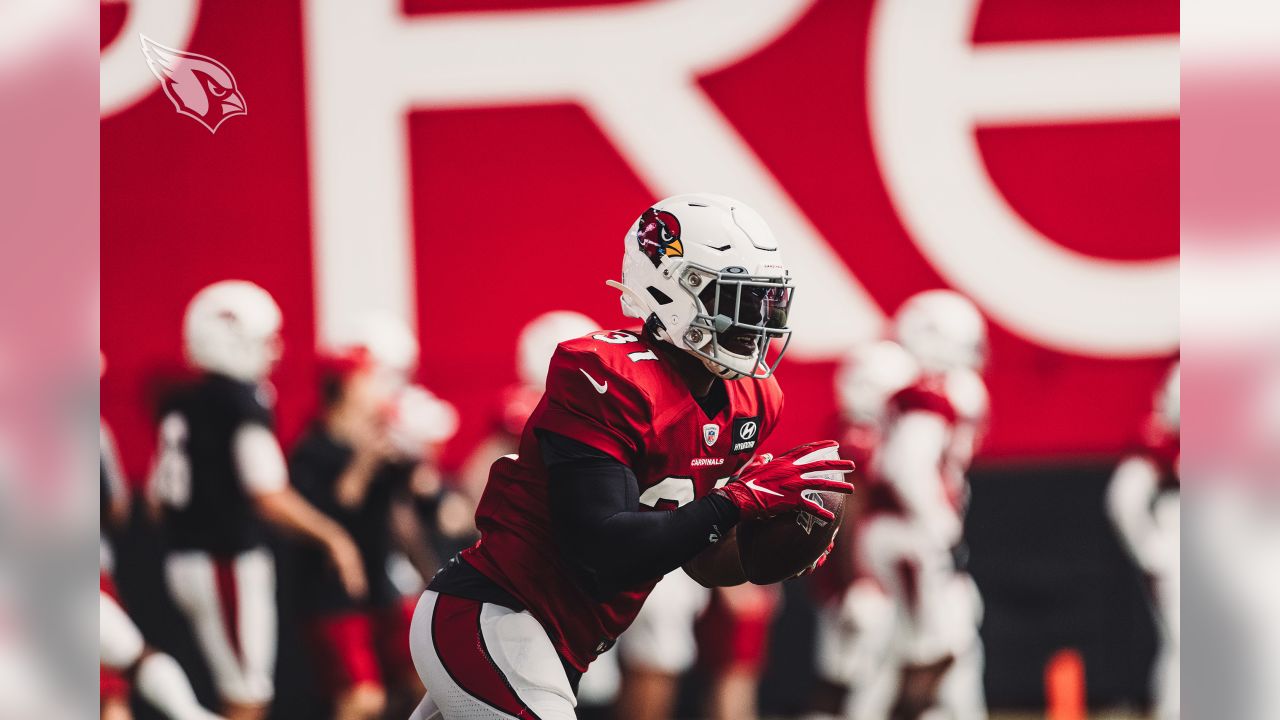 Arizona Cardinals' Hakeem Butler suffers broken hand out for preseason