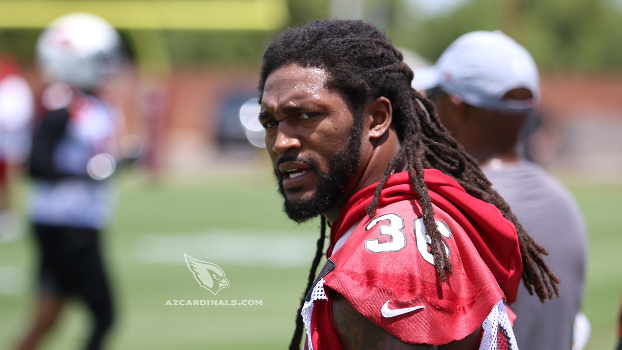S D.J. Swearinger