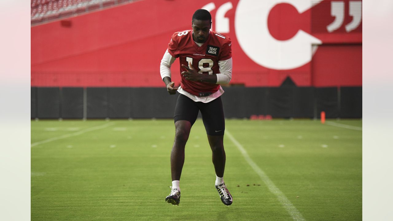 12Sports 2022 Arizona Cardinals Training Camp Preview: Offensive