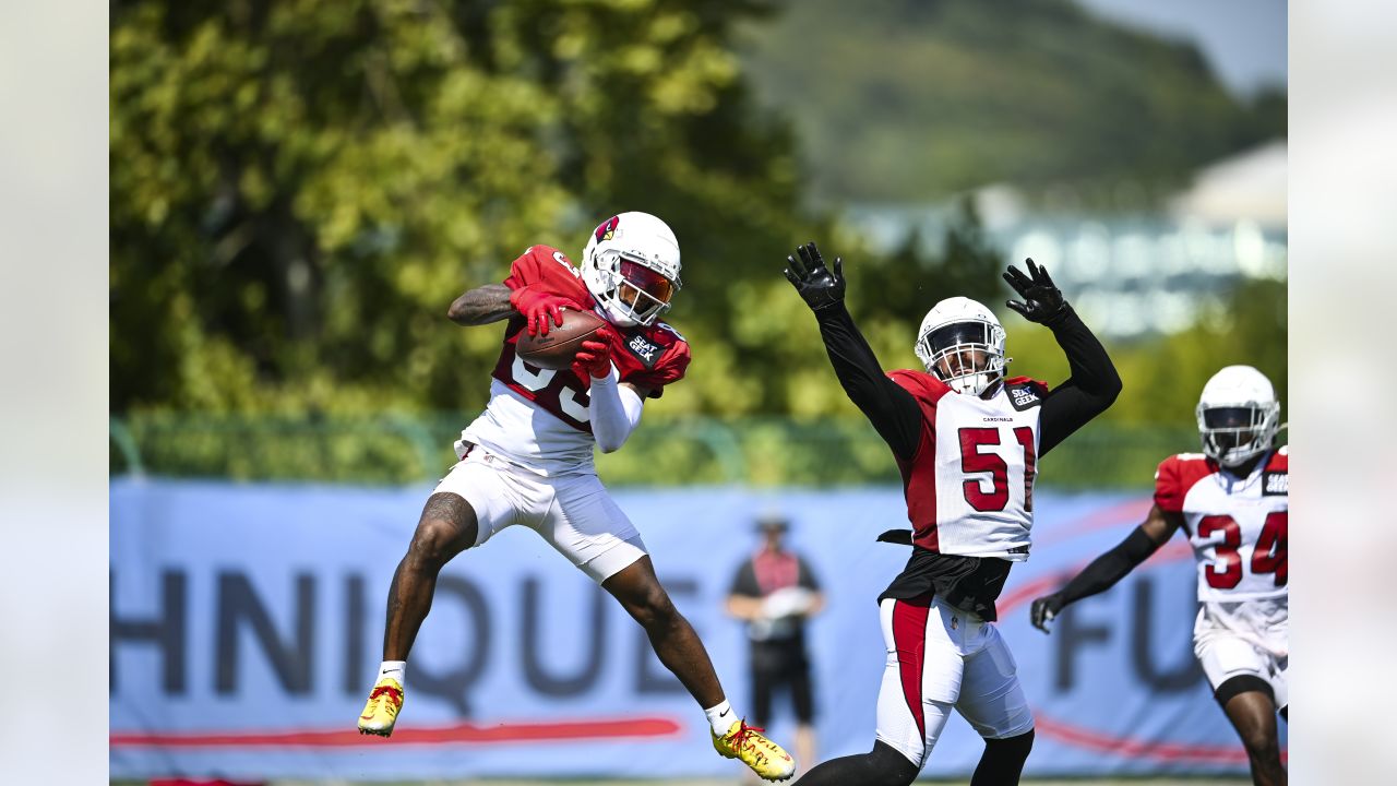 Cardinals, Titans Scheduled for Joint Preseason Practices