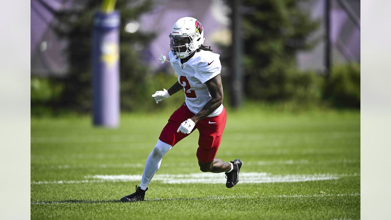 Arizona Cardinals guard Hayden Howerton (75) in action against the  Minnesota Vikings during the first half of an NFL preseason football game  Saturday, Aug. 26, 2023 in Minneapolis. (AP Photo/Stacy Bengs Stock