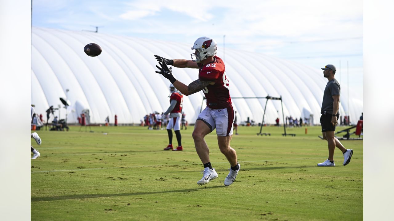 Cardinals defensive linemen Zach Allen, Leki Fotu, Michael Dogbe, Rashard  Lawrence bond for Cardinals