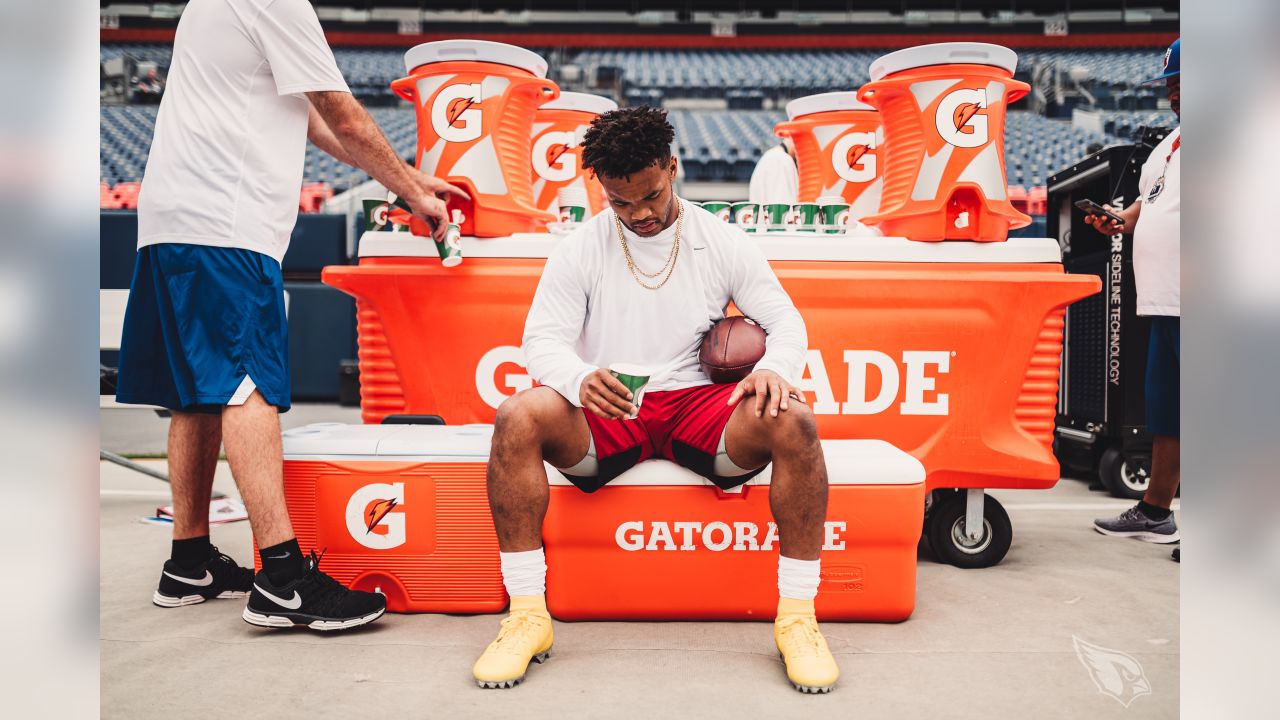 The Year in Kyler Murray's Shoes - Revenge of the Birds