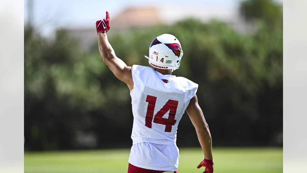 Arizona Cardinals wide receivers Michael WIlson (14) and Rondale