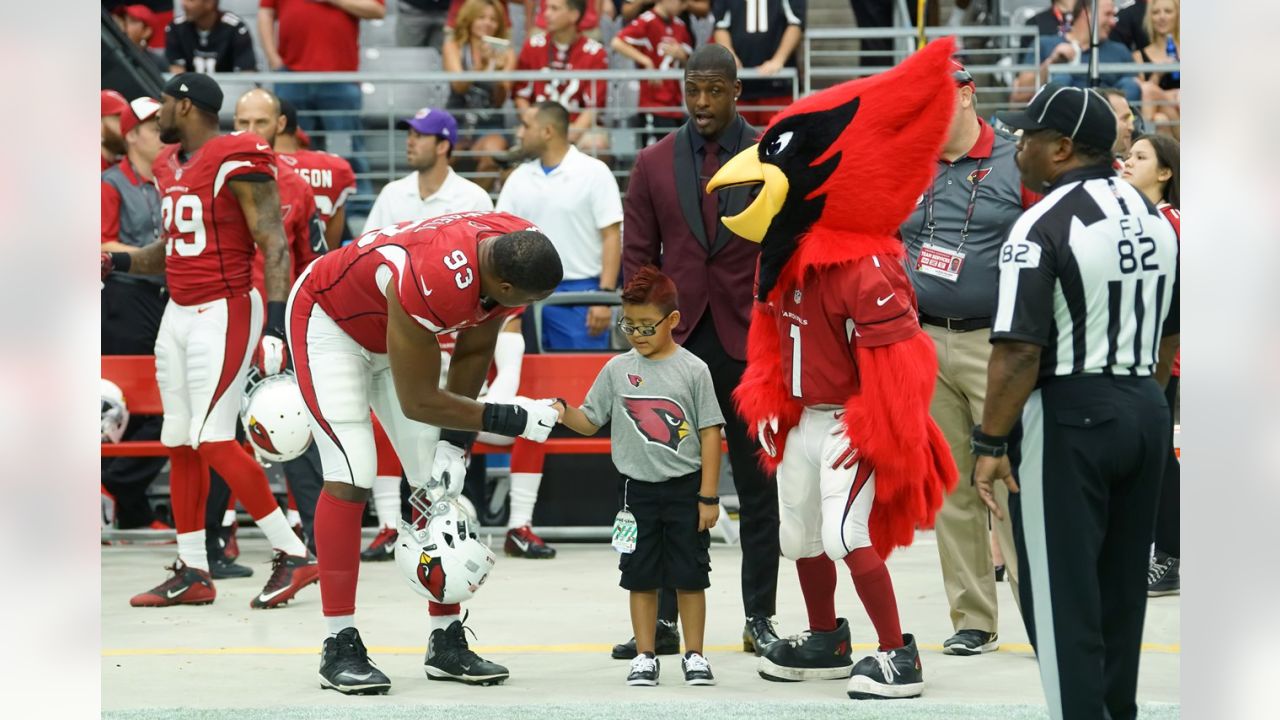 Arizona Cardinals mascot Big Red during the third quarter of the