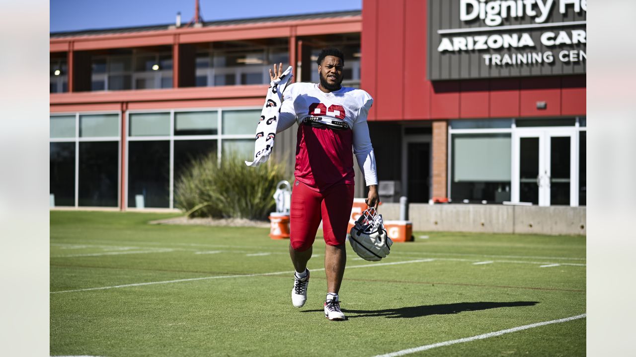 Arizona Cardinals defensive end Jonathan Ledbetter (93) during an