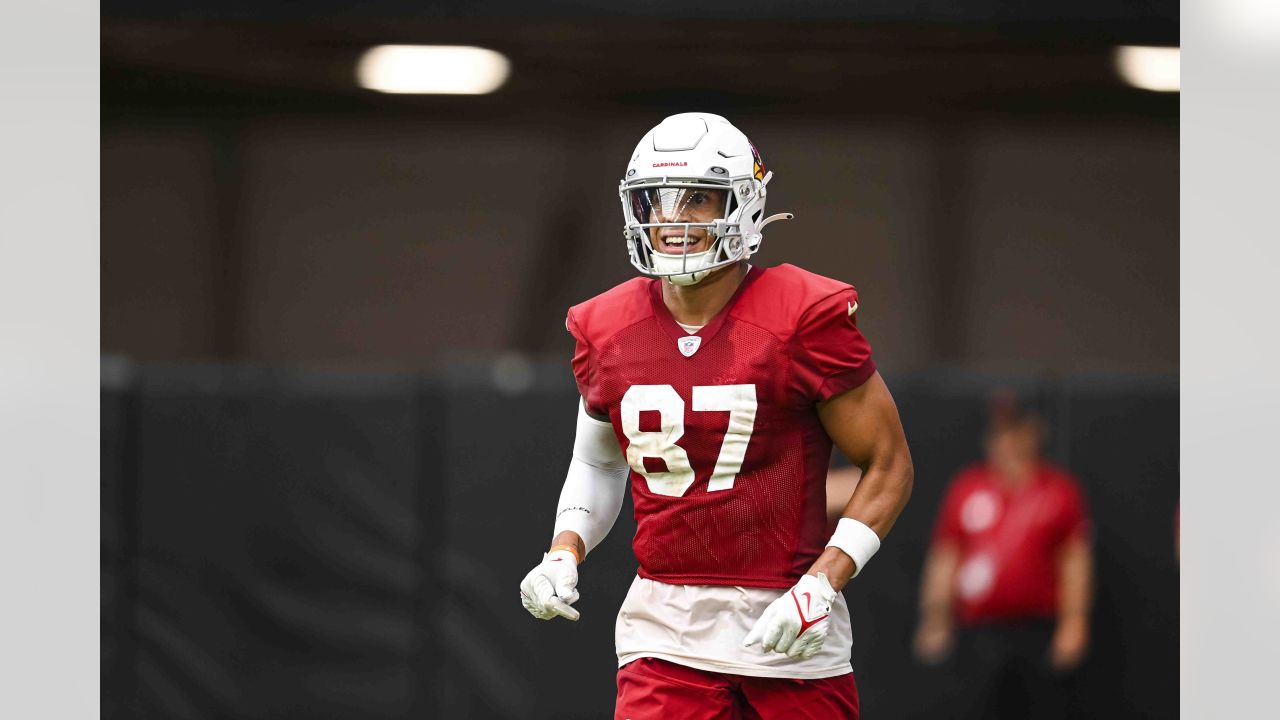 Arizona Cardinals 2023 NFL Season Preview: What Is Gannon's Vision?