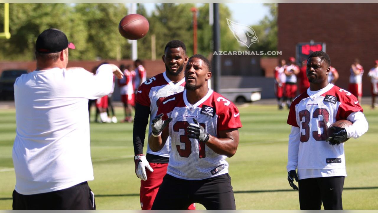 Married' To Football, Byron Leftwich Coaches