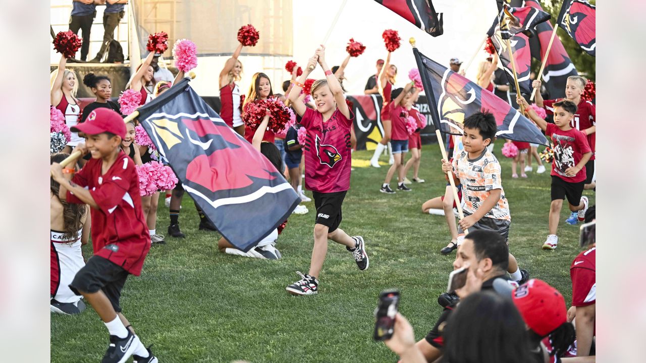 Cardinals Draft Party Back On Great Lawn April 27