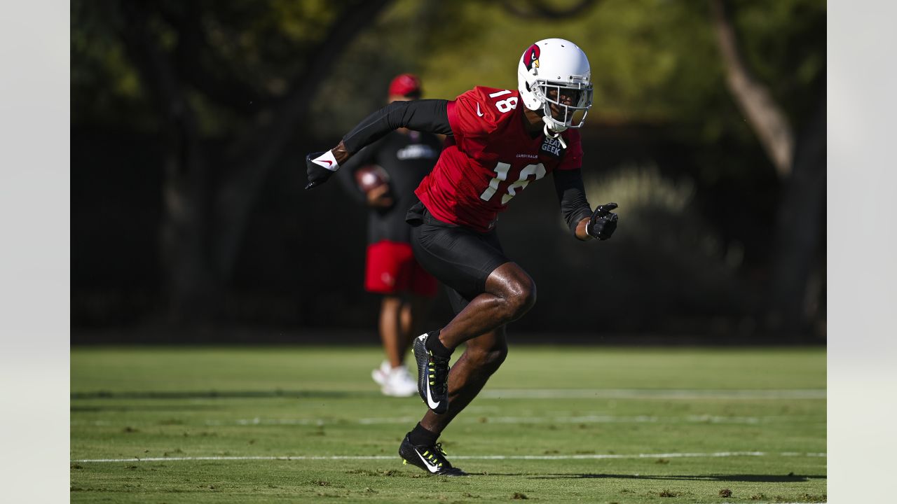 PFF on Twitter: Chandler Jones added a completely new dimension to the  Cardinals pass rush  / Twitter