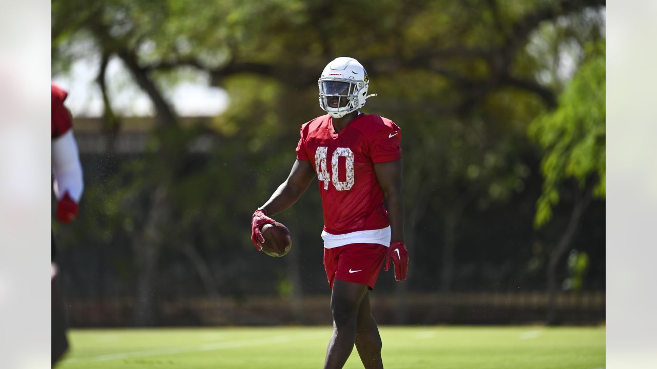 Arizona Cardinals' Darrel WIlliams (24) and Jared Smart (38) participate  during the team's NFL football practice, Monday, June 6, 2022, in Tempe,  Ariz. (AP Photo/Matt York Stock Photo - Alamy