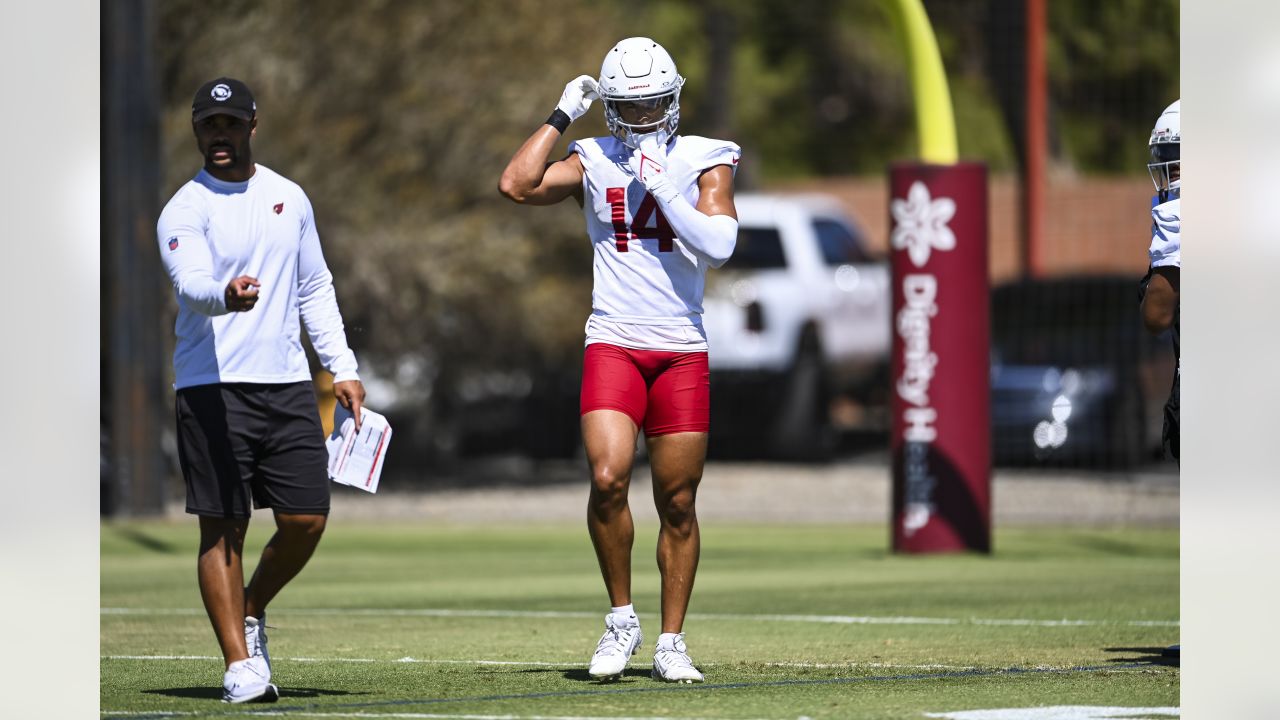 Marco Wilson, Cardinals Defense Readies For Niners' Scheme