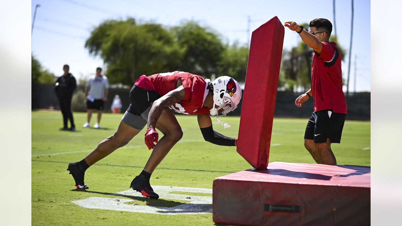 Marco Wilson, Cardinals Defense Readies For Niners' Scheme