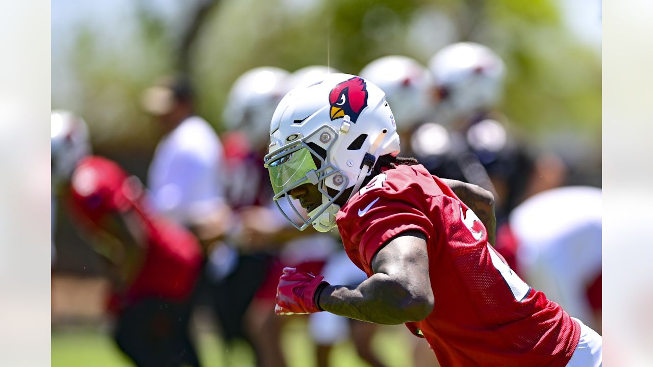 Cardinals News: Kyler Murray, Marquise Brown to play, D.J. Humphries IR -  Revenge of the Birds