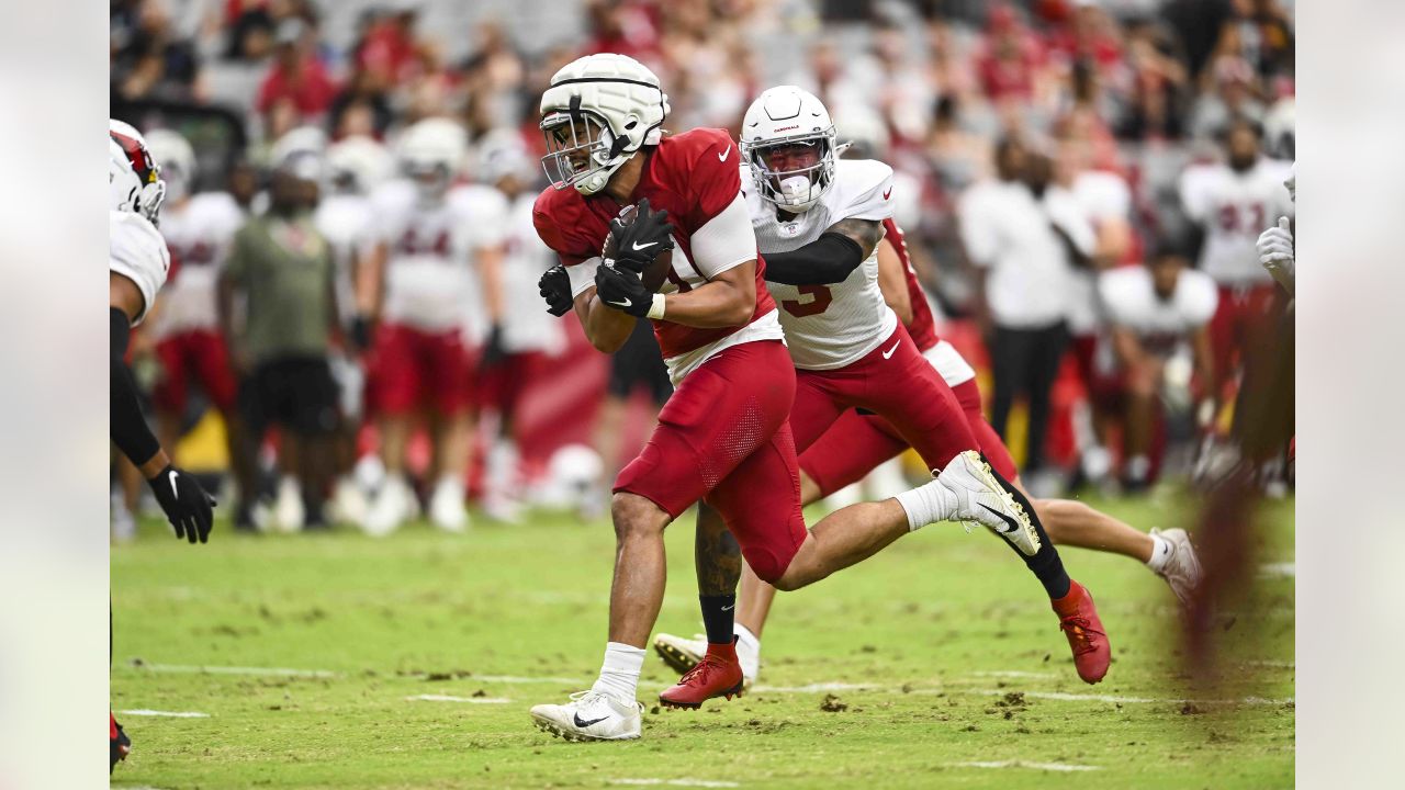 PHOTOS: Cardinals Training Camp - August 5