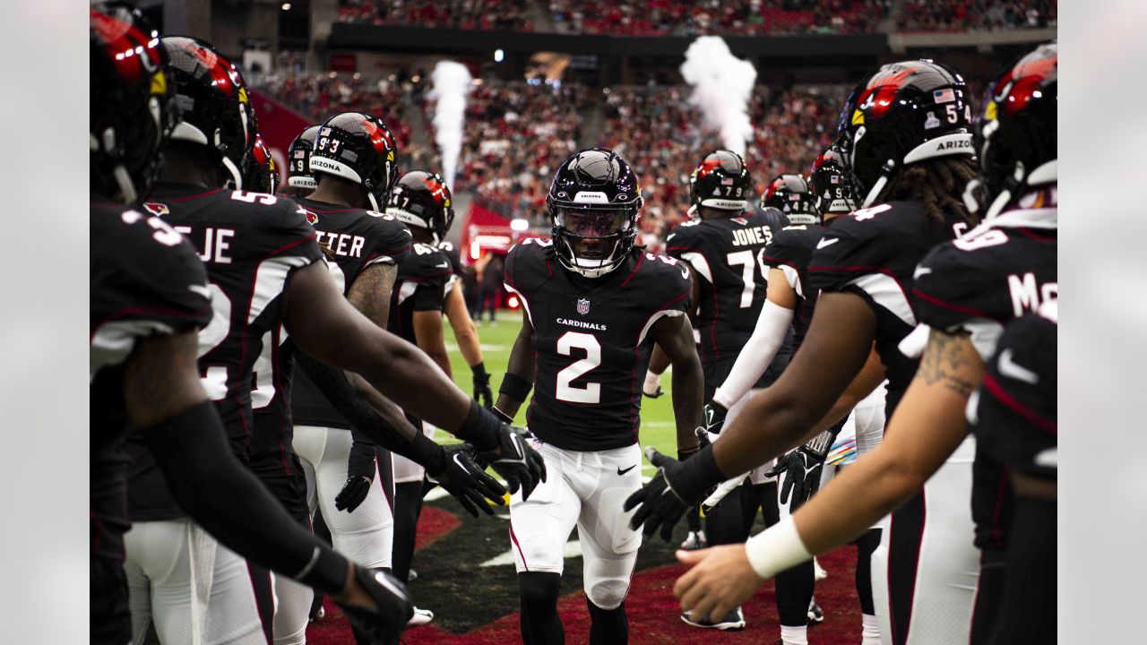 DENVER, CO - DECEMBER 18: Arizona Cardinals linebacker Myjai Sanders (41)  and safety Chris Banjo (31