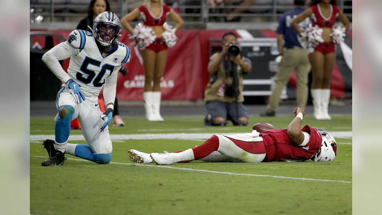 Panthers will have fans at the stadium vs. Cardinals