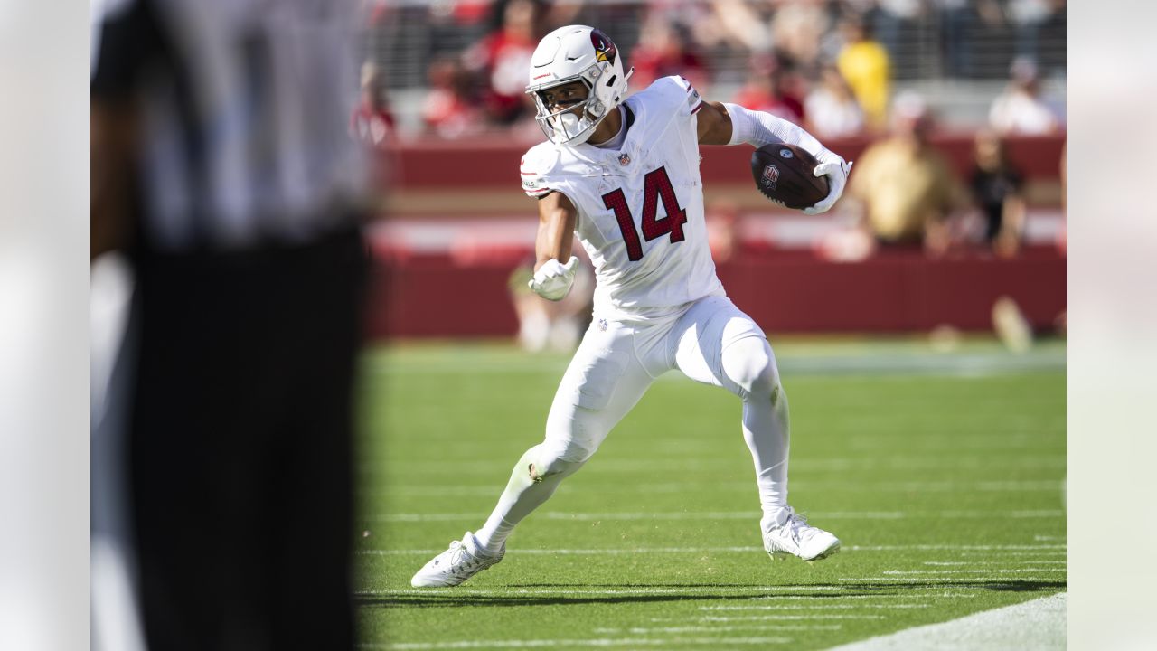 Arizona Cardinals fans call for improvement from quarterback Josh Dobbs and  team captain D.J. Humphries - BVM Sports