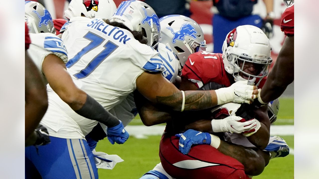 Cardinals finally recognize loss to Lions in hilarious video