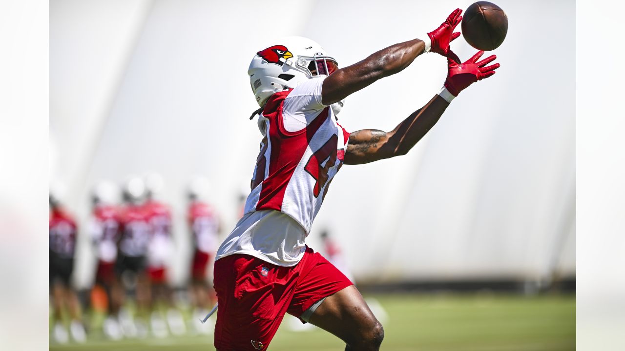 Arizona Cardinals safety Tae Daley (48) in action as the Arizona Cardinals  played the Cincinnati Bengals in an NFL football preseason game in  Cincinnati, Friday, Aug. 12, 2022. The Cardinals won 36-23. (