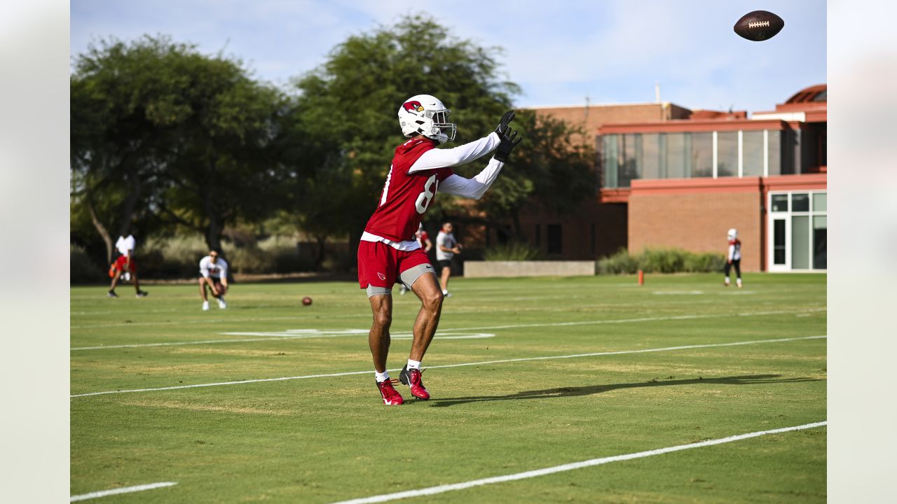 Cardinals defensive linemen Zach Allen, Leki Fotu, Michael Dogbe, Rashard  Lawrence bond for Cardinals