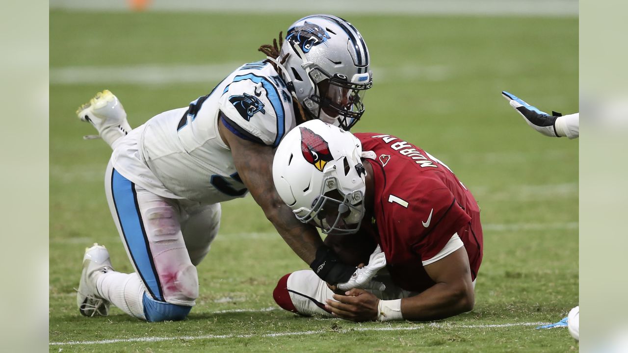 Arizona Cardinals @ Carolina Panthers: Is it the forgotten final?, NFL  News