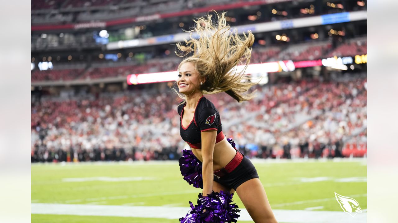 Bucs Cheerleaders Photos from Bengals vs. Bucs Game