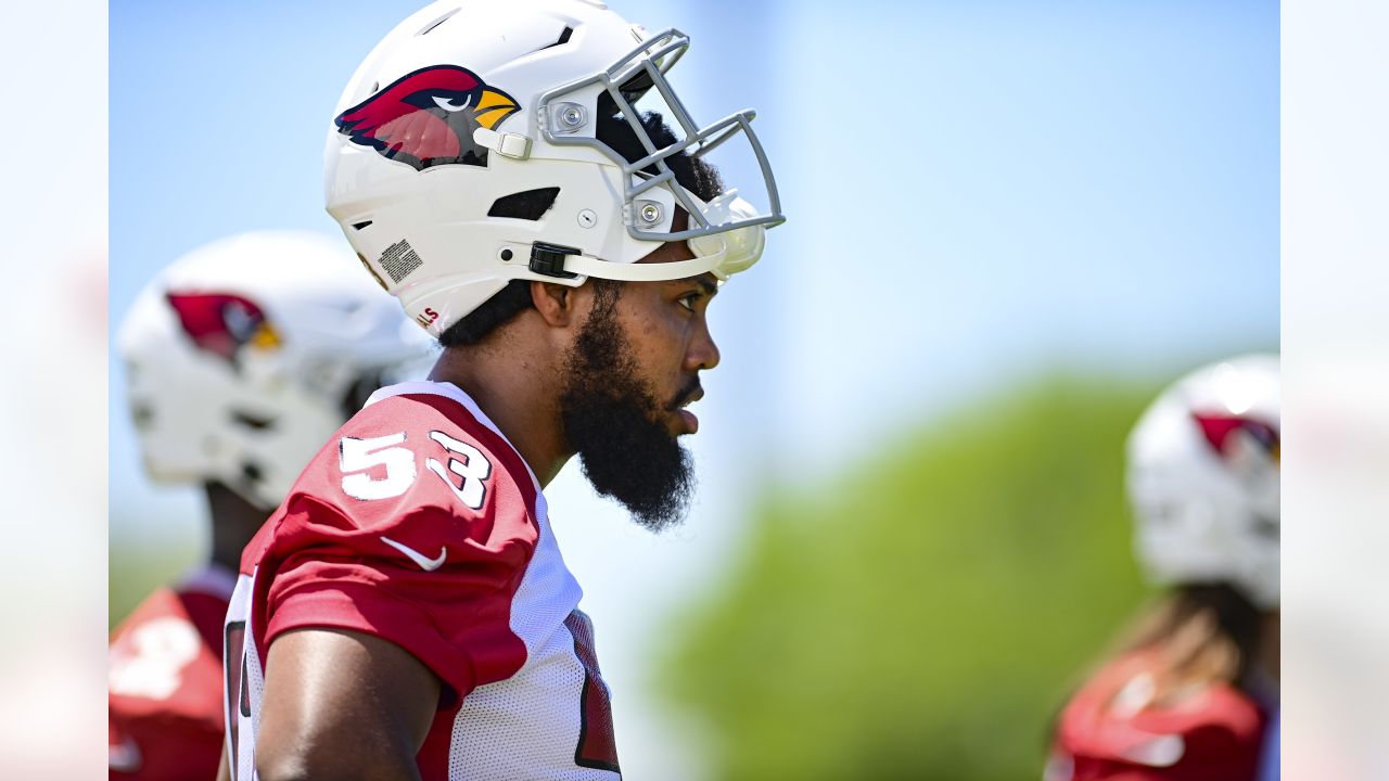 Former Arizona Cardinals linebacker Jessie Lemonier passes away at